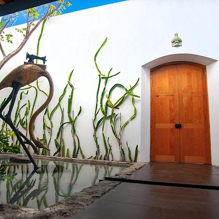 فندق Casa Carmen Xolotl Oaxaca المظهر الخارجي الصورة