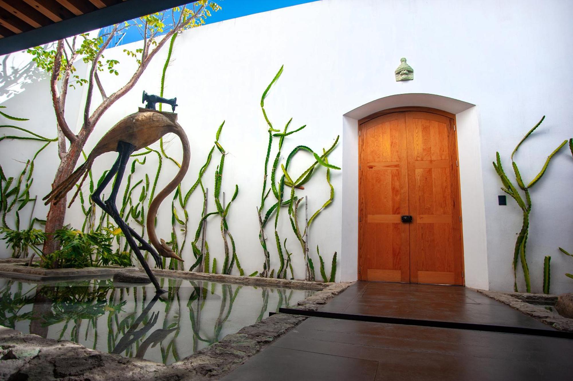 فندق Casa Carmen Xolotl Oaxaca المظهر الخارجي الصورة